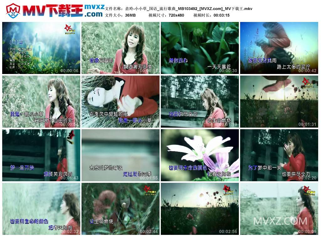 意玲-小小草_国语_流行歌曲_MB103492